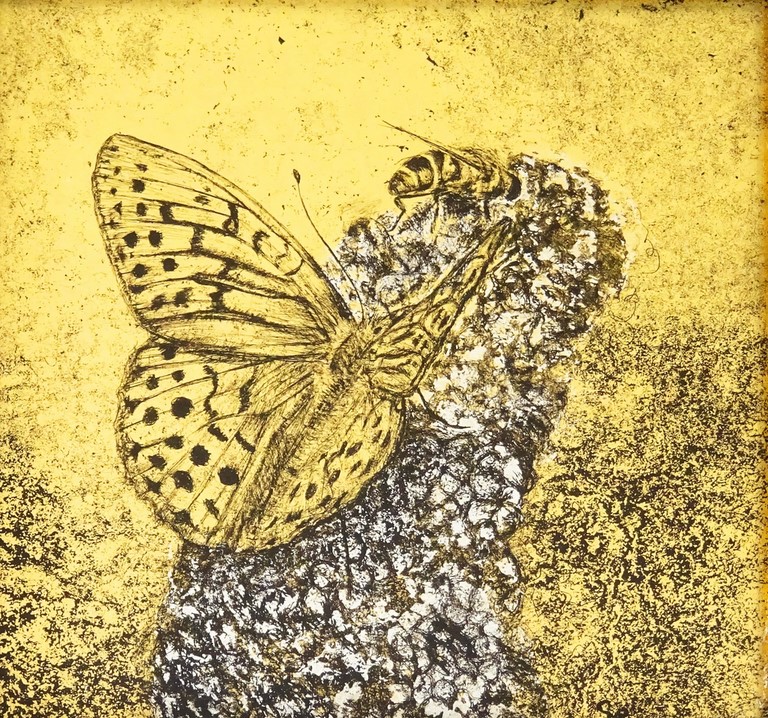 COMMA BUTTERFLY