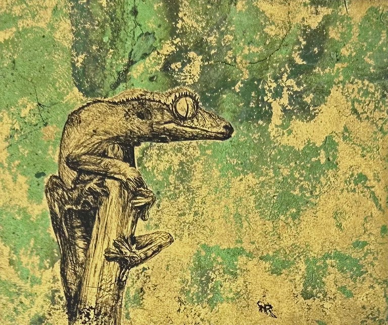 Crested gecko