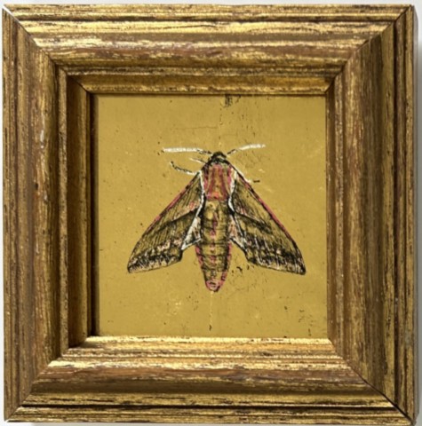 bees