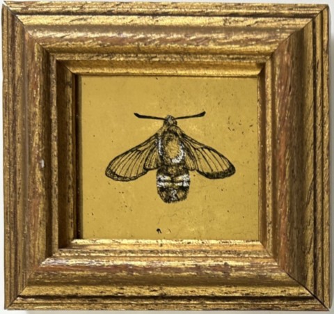 bees